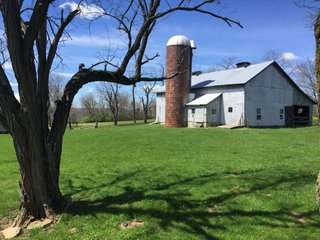 Property photo 17 - REAL ESTATE & LAND AUCTION - 105+/- ACRES IN 4 TRACTS IN BUTLER COUNTY, OHIO